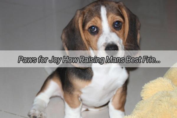 Paws for Joy How Raising Mans Best Friend Turned My Passion into a Lifelong Adventure